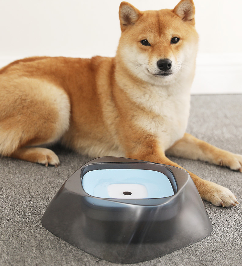 No-Splash Floating Dog Water Bowl