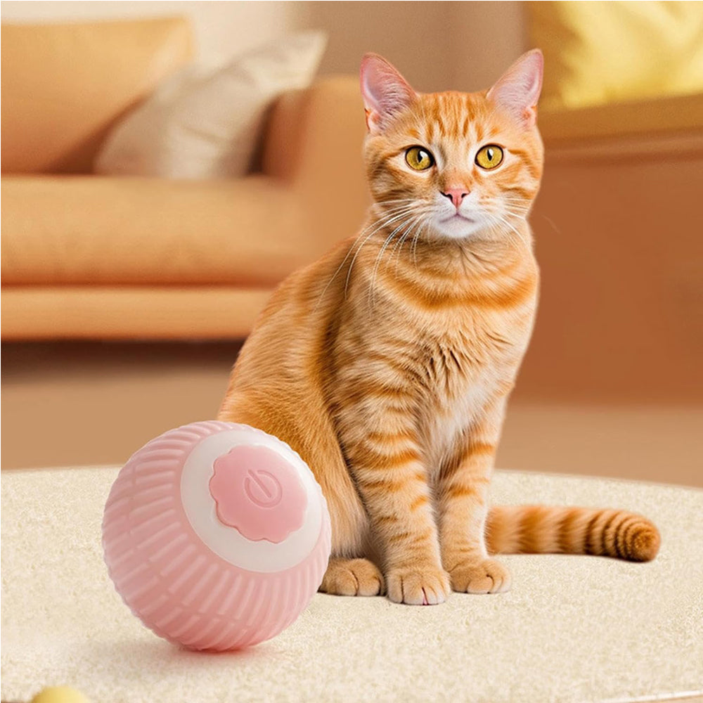 Self-Rolling Smart Ball, alternate view 3