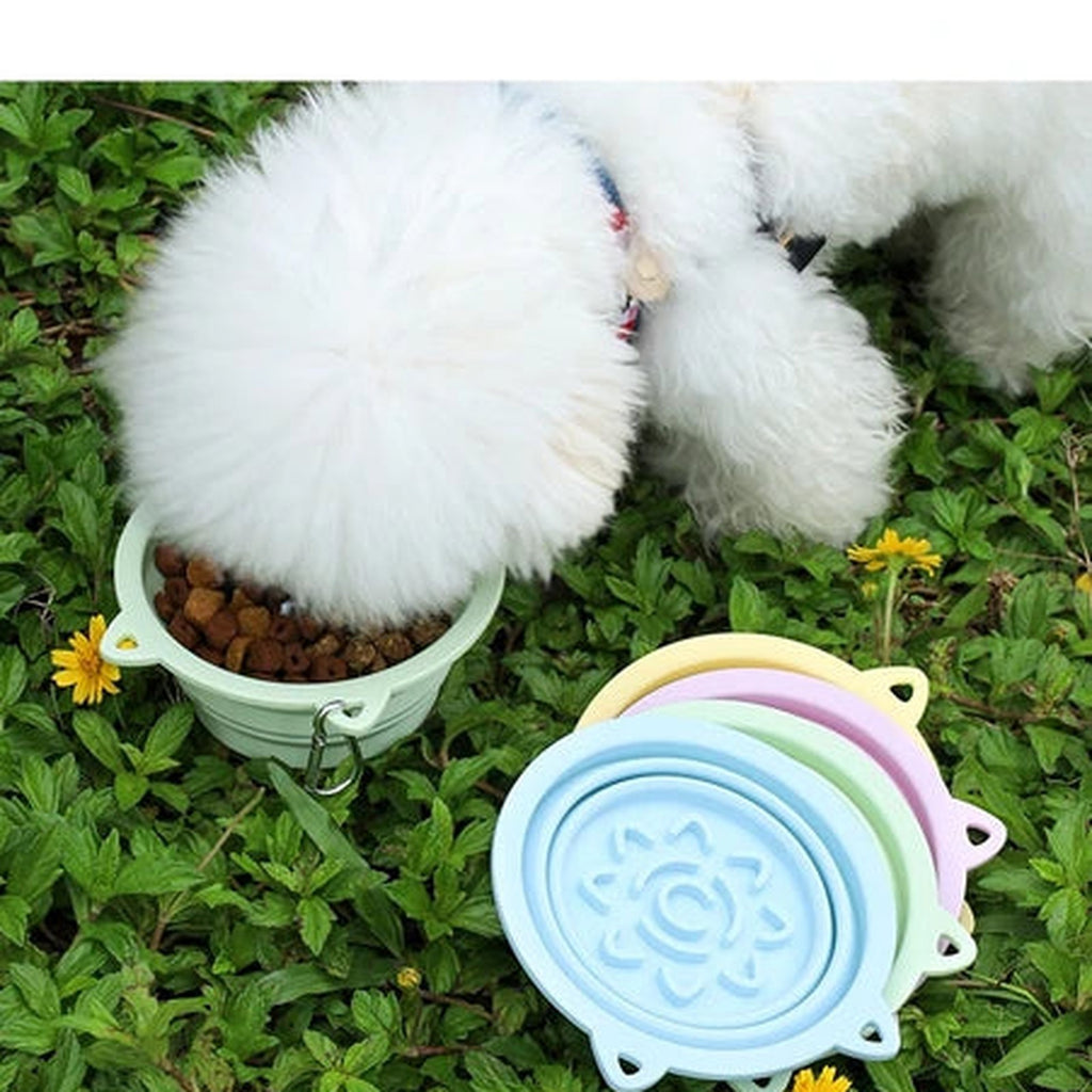Collapsible silicone travel bowls in pastel colours next to a white dog on grass
