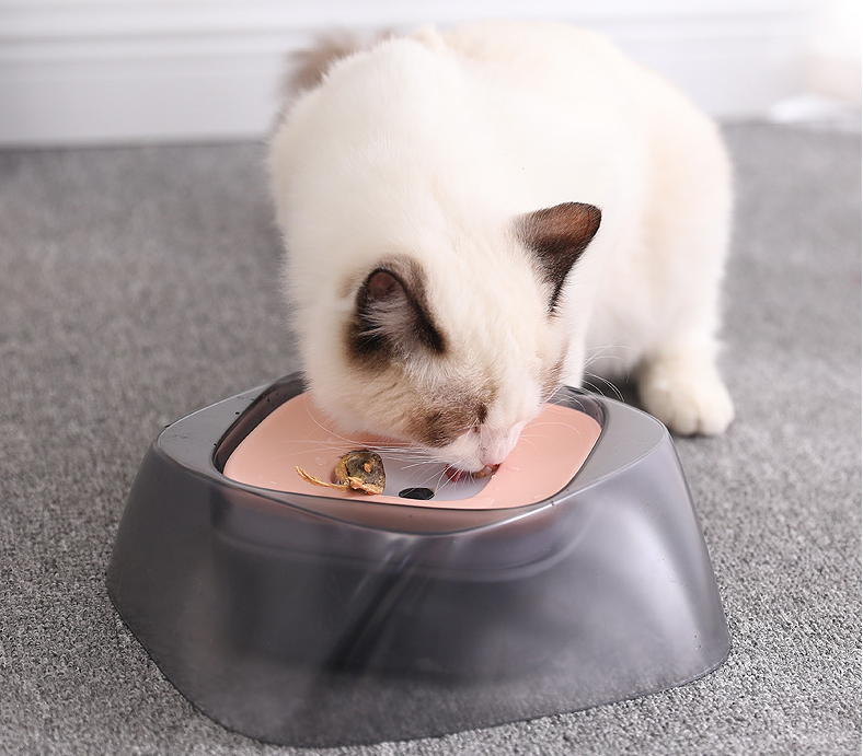 Floating disc inside the No-Splash Dog Water Bowl