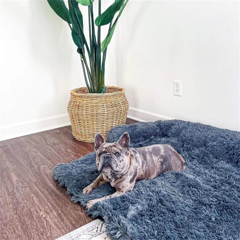 Fluffy Calming Dog Bed, alternate view 3