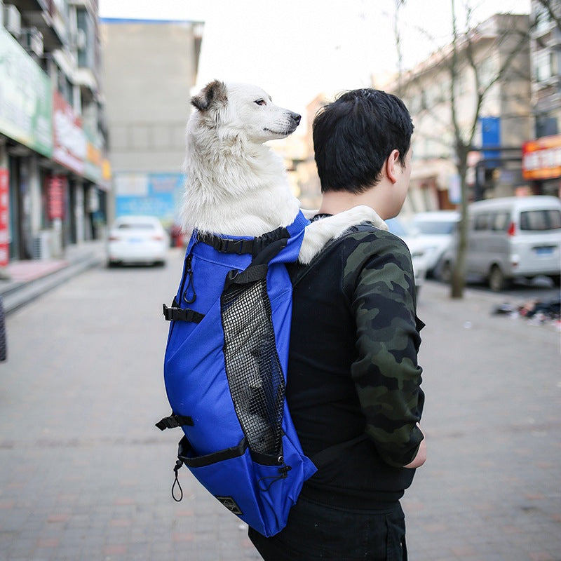 Legs-Out Dog Carrier Backpack, alternate view 6