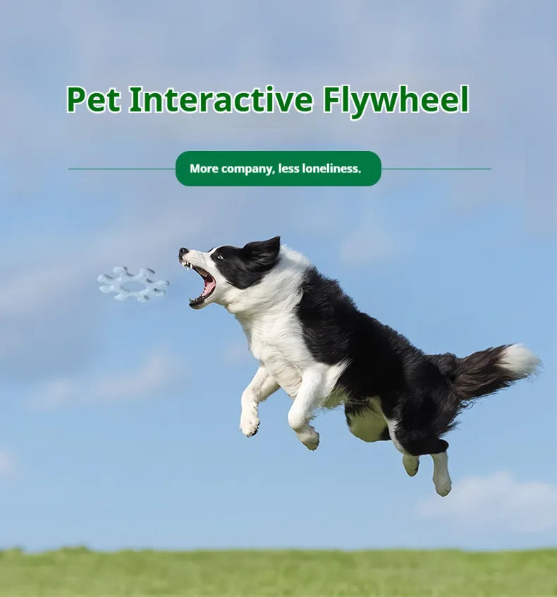Interactive Flywheel Fetch Toy, alternate view 4