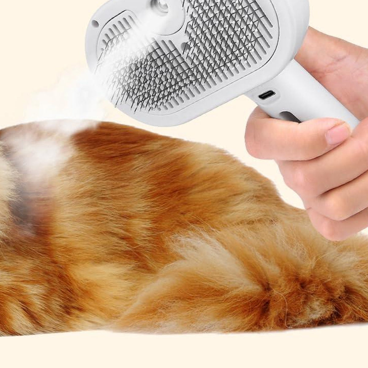 Hand brushing a long-haired ginger cat with the steam grooming brush