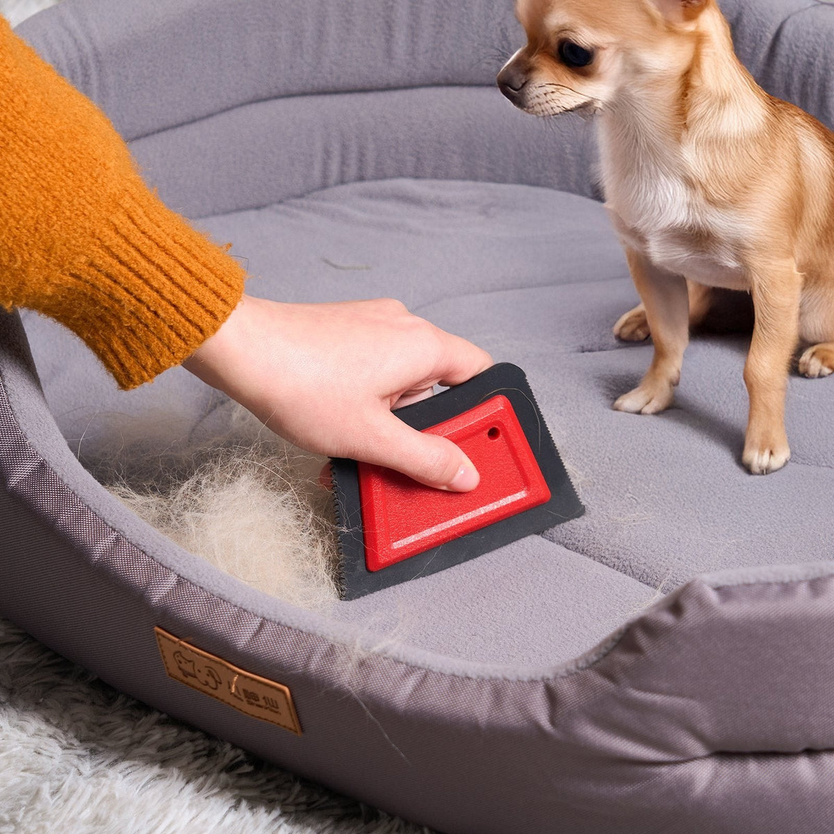 Hand using a red reusable pet hair remover on a grey dog bed while a small dog watches