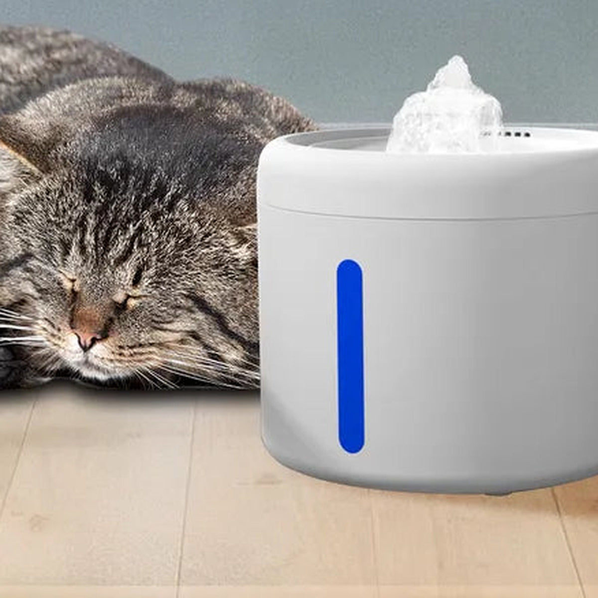 Tabby cat sleeping next to the quiet cat water fountain