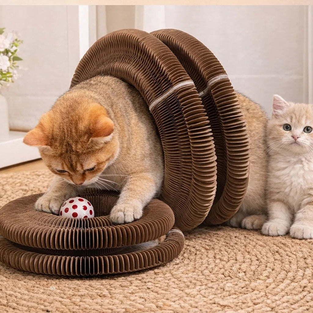 Two cats playing with a brown accordion cardboard scratcher that has a ball inside