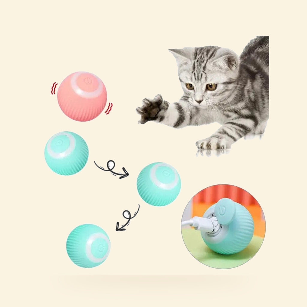 Self-rolling smart balls in pink and teal with a kitten batting one