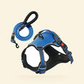Blue no-pull dog harness with matching rope leash