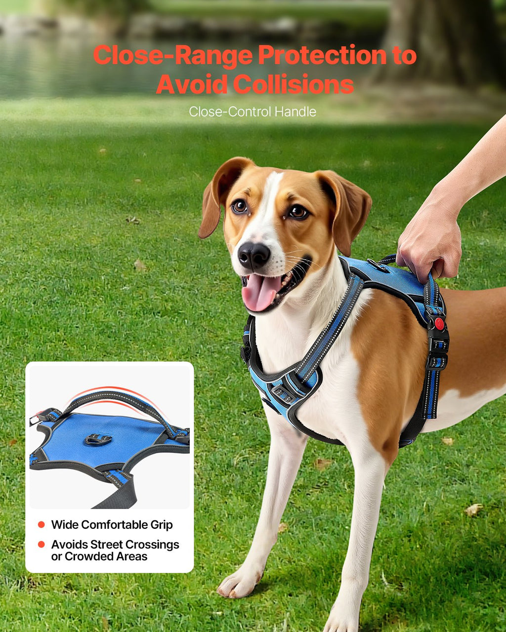 No-Pull Dog Harness with Leash, alternate view 2