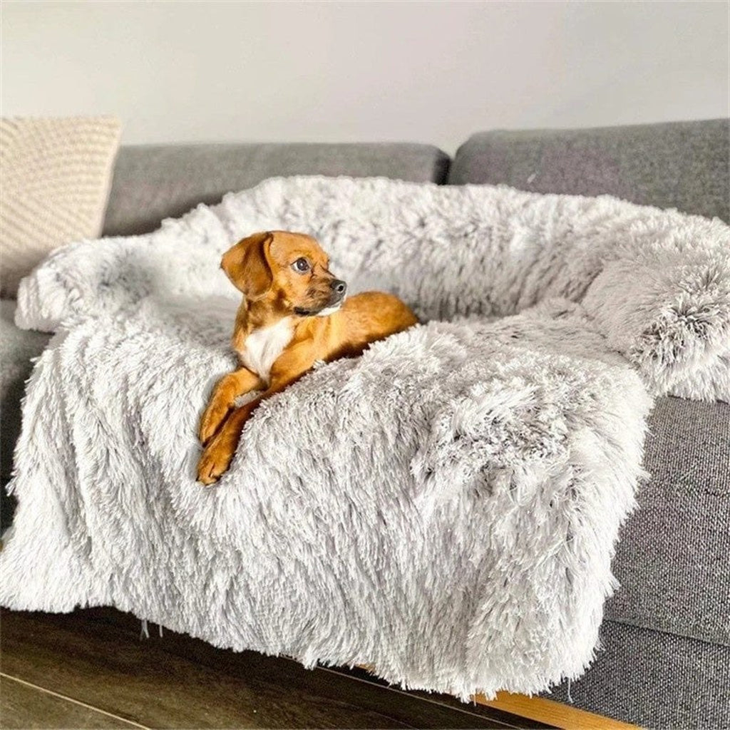 Puppy lying on a fluffy light grey calming dog bed on a sofa