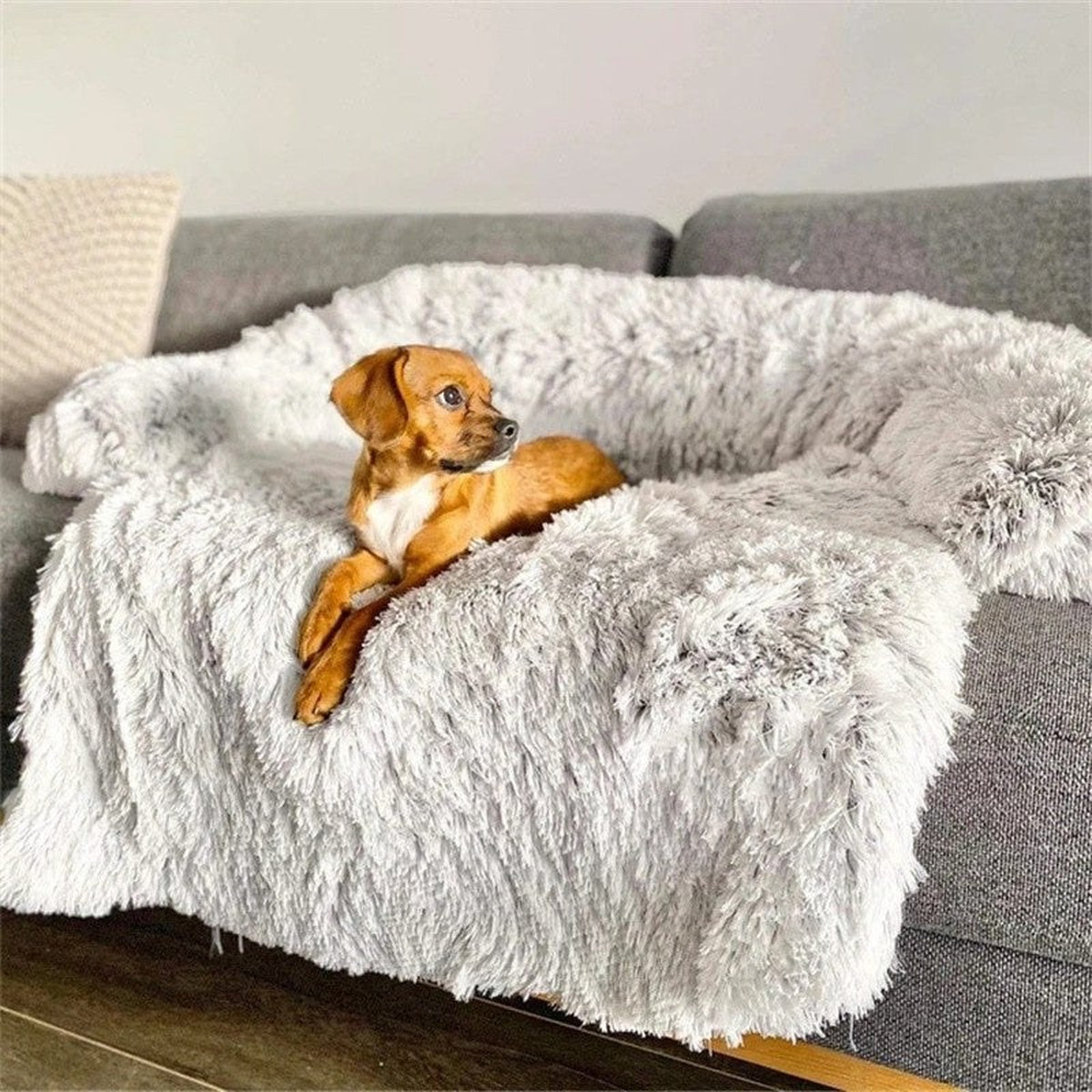 Puppy lying on a fluffy light grey calming dog bed on a sofa