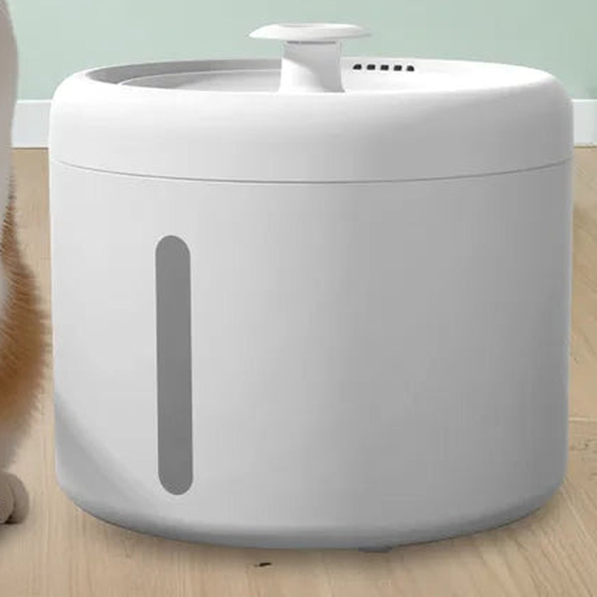 Ginger cat sitting beside the white cat water fountain